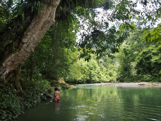 From Sumatran Rainforest to York Walls: Why I Created Sophia Luna!