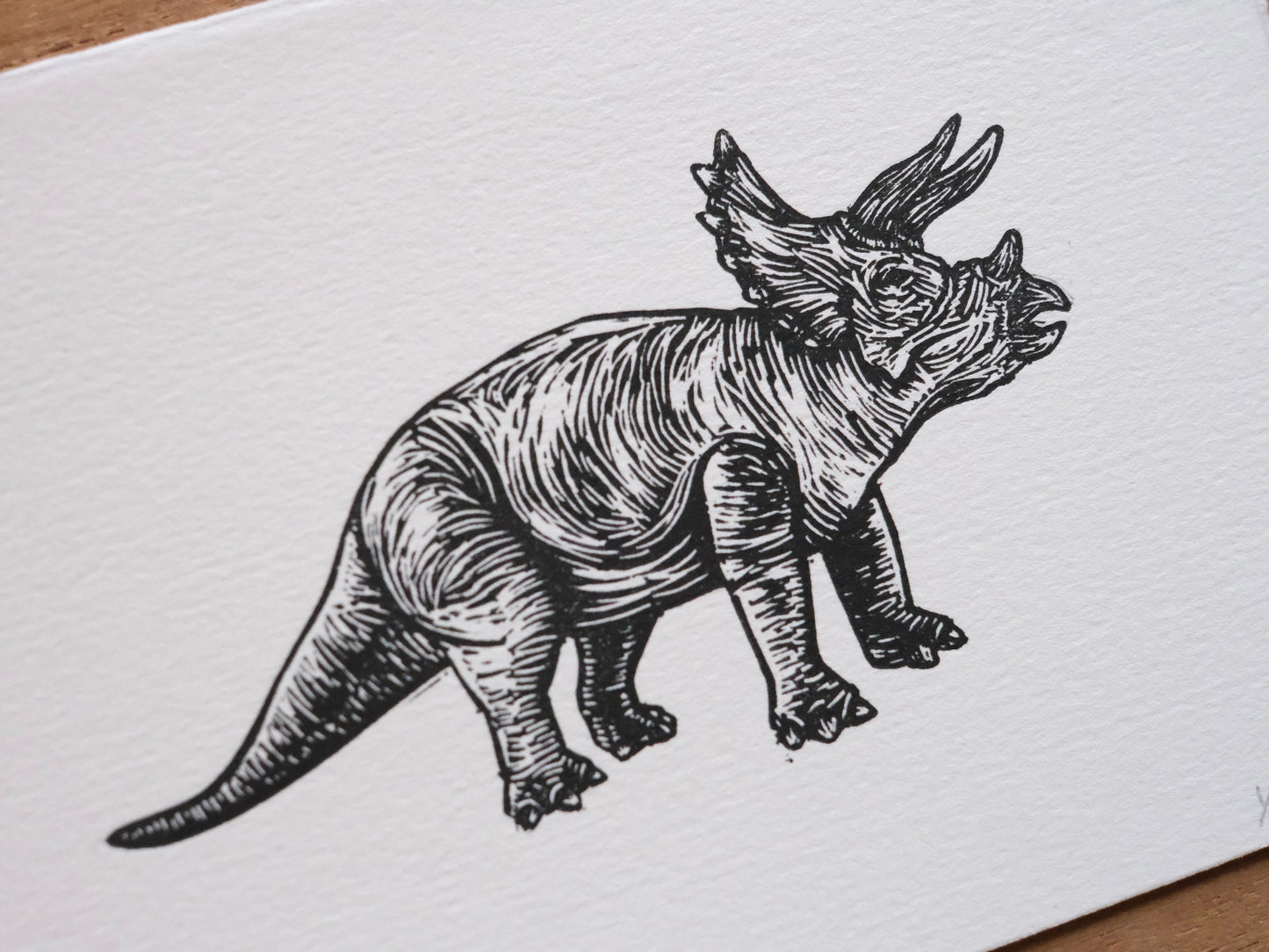 Triceratops