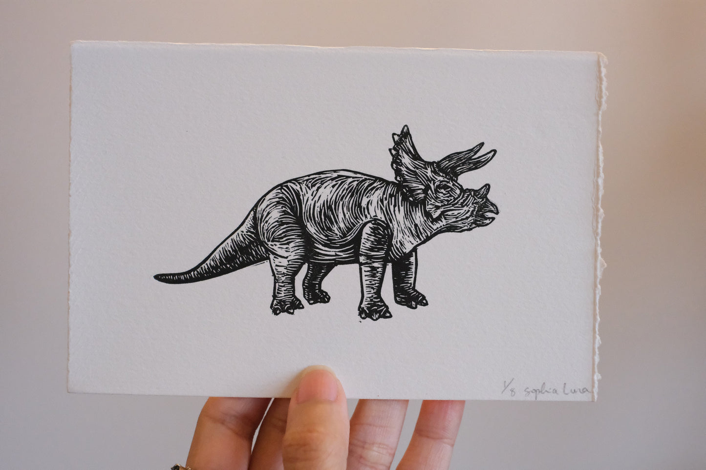 Triceratops