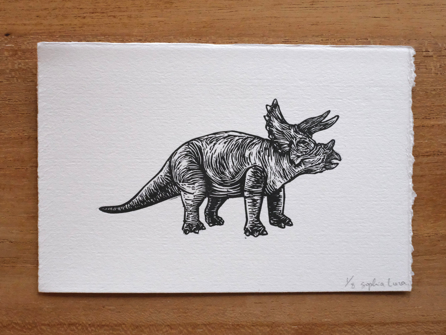 Triceratops